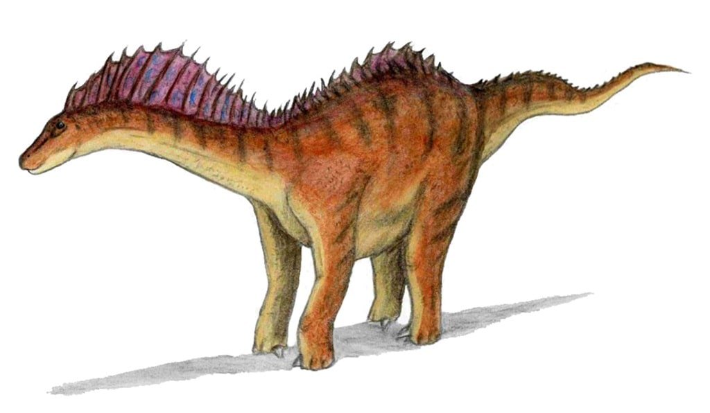 Amargasaurus hd