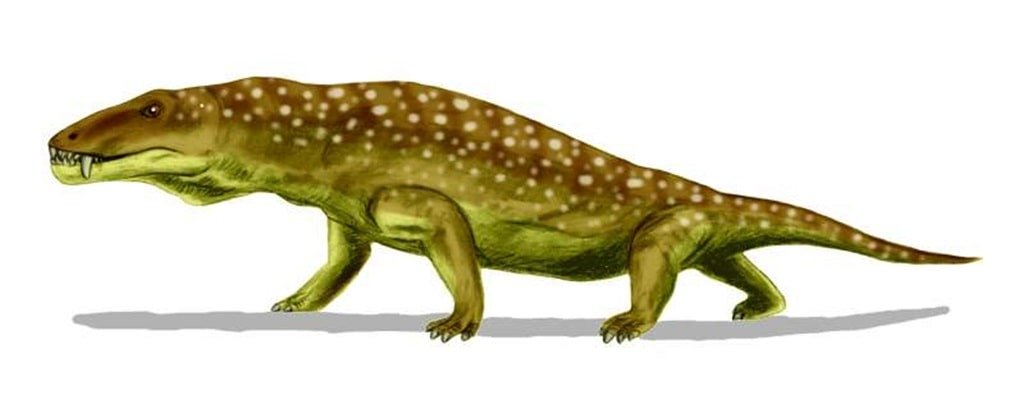 Anteosaurus