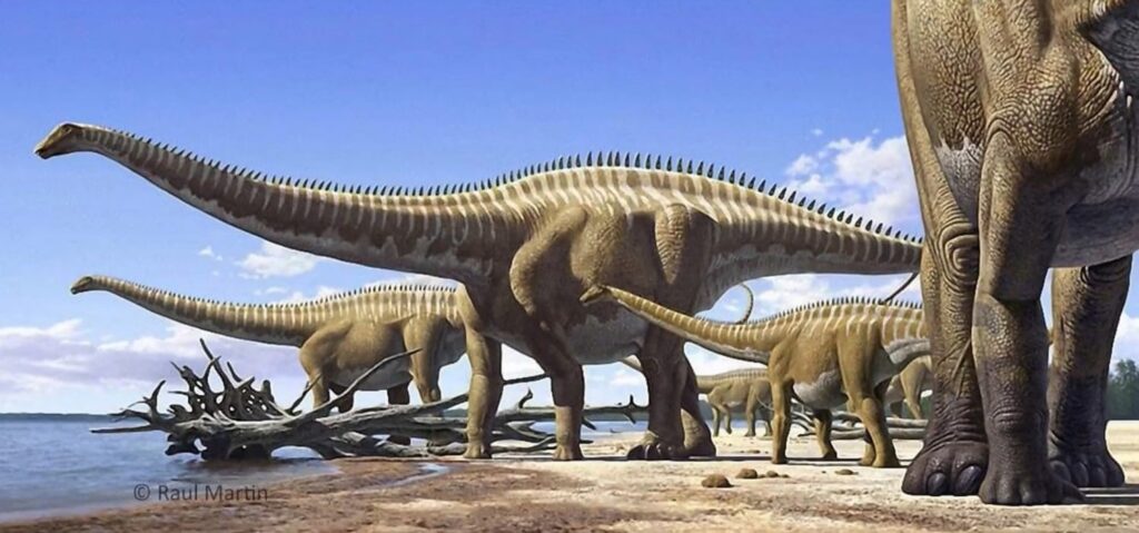 Barosaurus