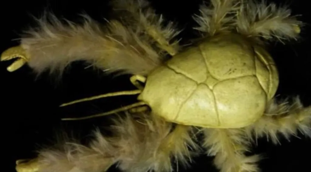 Yeti Crabs Get Groovy with the Claws that Wave for Food